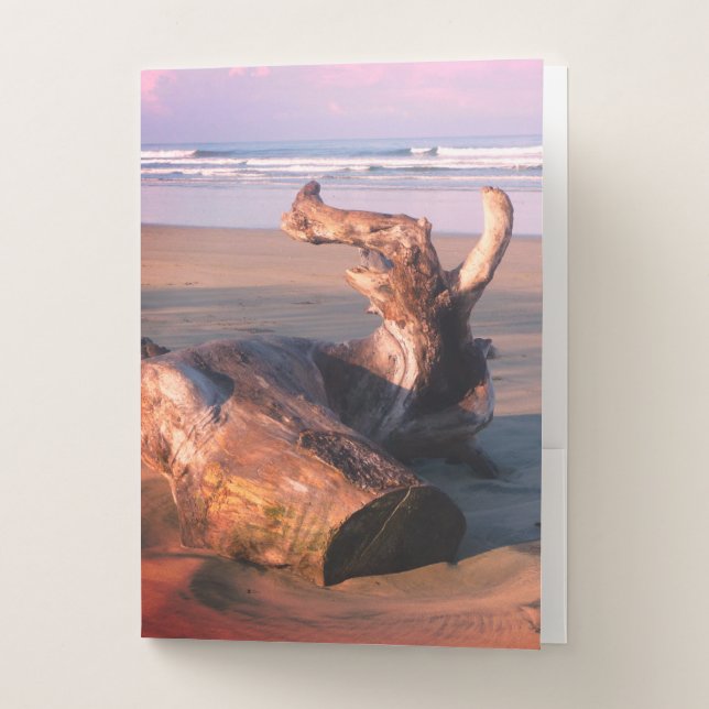Driftwood Log Costa Rica Beach Photo  Pocket Folder (Front)