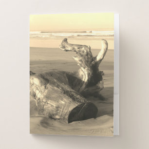 Driftwood Log Costa Rica Beach Photo  Pocket Folder