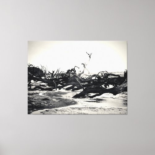 Driftwood on a Desolate Beach Canvas Print