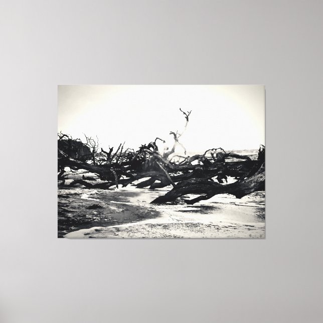 Driftwood on a Desolate Beach Canvas Print (Front)