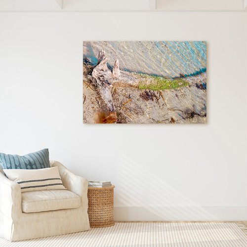 Driftwood On Florida Keys Bahia Honda Beach Canvas Print