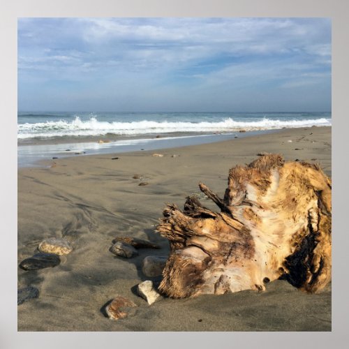 Driftwood on the Beach Ocean Waves Coastal Photo Poster