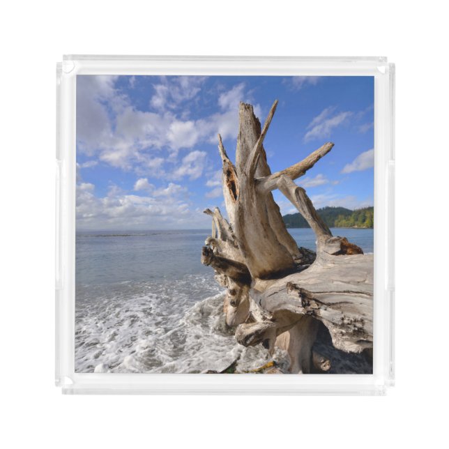 Driftwood On The Shoreline Of French Beach Acrylic Tray (Front)