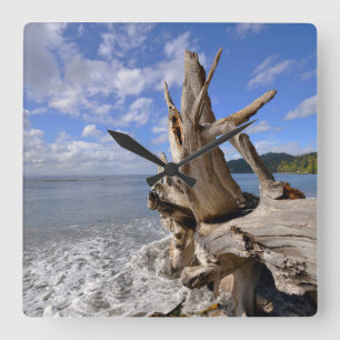 Driftwood On The Shoreline Of French Beach Square Wall Clock