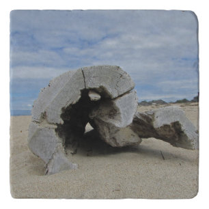 Driftwood Photo Pacific Coast Landscape Beach Trivet