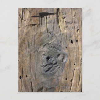 driftwood postcard