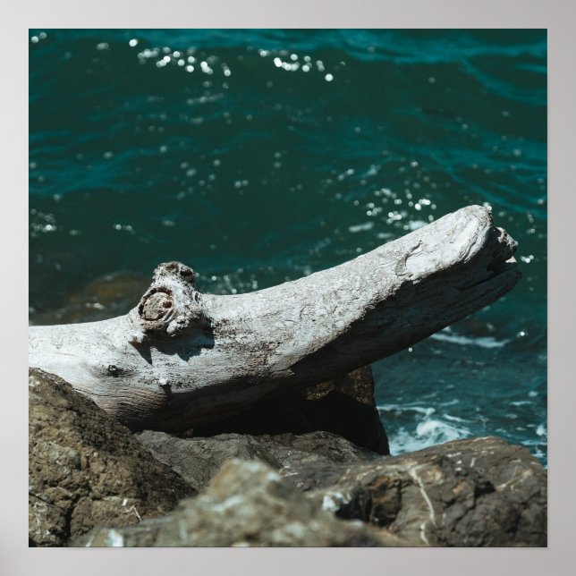 Driftwood Poster (Front)