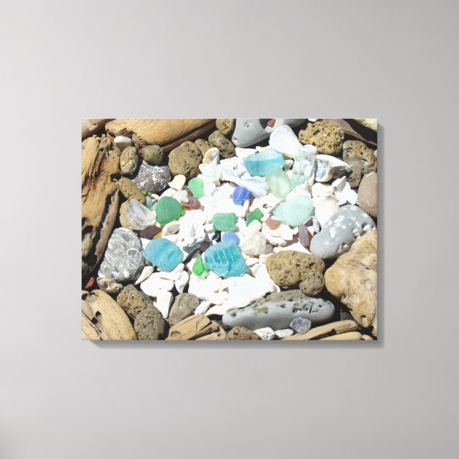 Driftwood Rock Garden Canvas art Seashells Beach (Front)