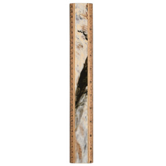 Driftwood Ruler