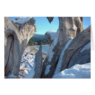 Driftwood Snow Glistens Cards