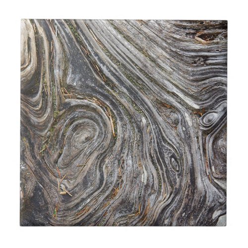 Driftwood Tile