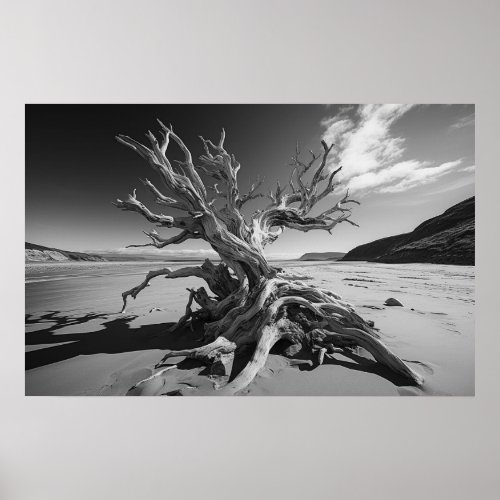 Driftwood tree trunk BW photo Poster