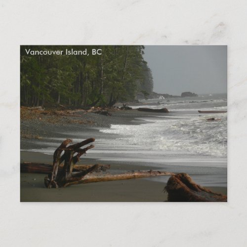 Driftwood Vancouver Island BC Postcard