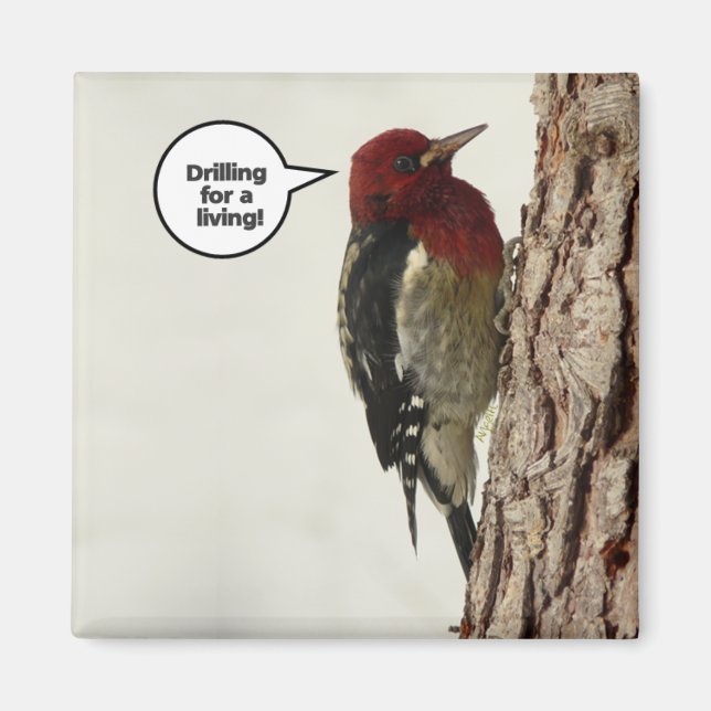 Drilling for a Living magnet (Front)