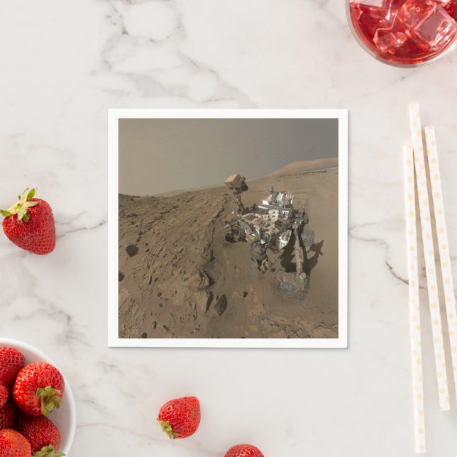 Drilling Mars Curiosity Red Martian Landscape Napkins (Insitu)