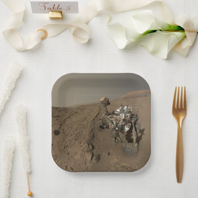 Drilling Mars Curiosity Red Martian Landscape Paper Plates (Wedding)