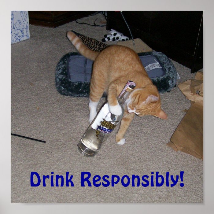 Drink Responsibly Poster