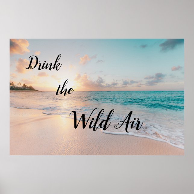 Drink the Wild Air Poster (Front)