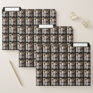 Drink Thief Cat by Shirley Taylor File Folder