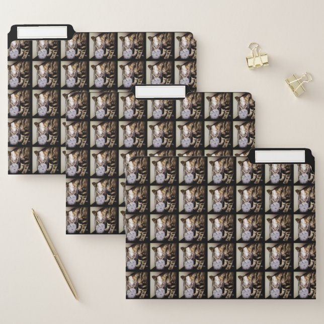 Drink Thief Cat by Shirley Taylor File Folder (Set)