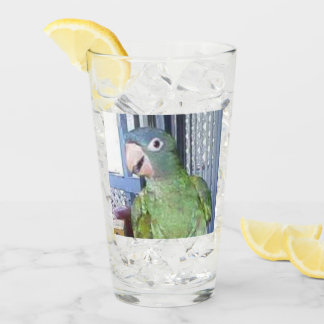 Drinking Glass with  Blue Crown Conure