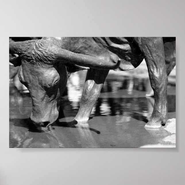 Drinking Longhorn Poster (Front)