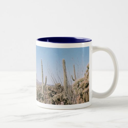 Drinking Mug Arizona Sonoran Desert Panoramic Pic