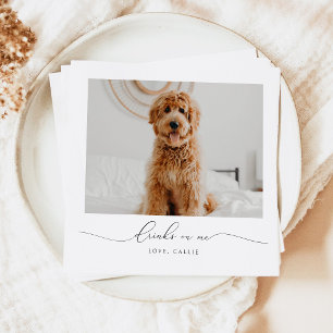 Drinks On Me Pet Wedding Napkins