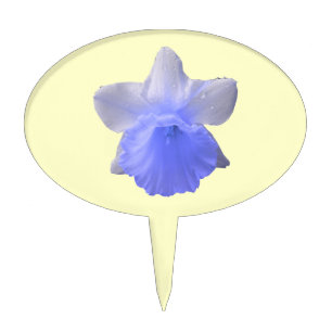 Dripping Daffodil Blue Cake Pick