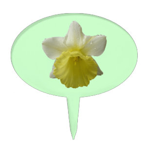 Dripping Daffodil Cake Pick