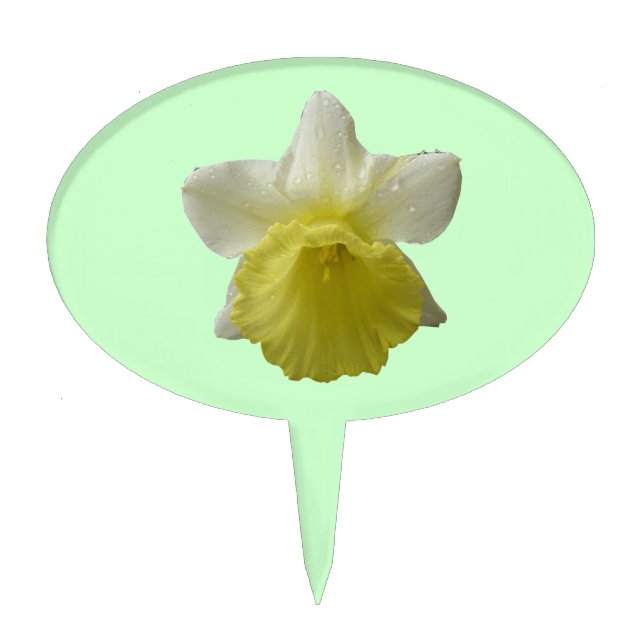 Dripping Daffodil Cake Pick (Front)