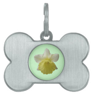 Dripping Daffodil Pet Tag
