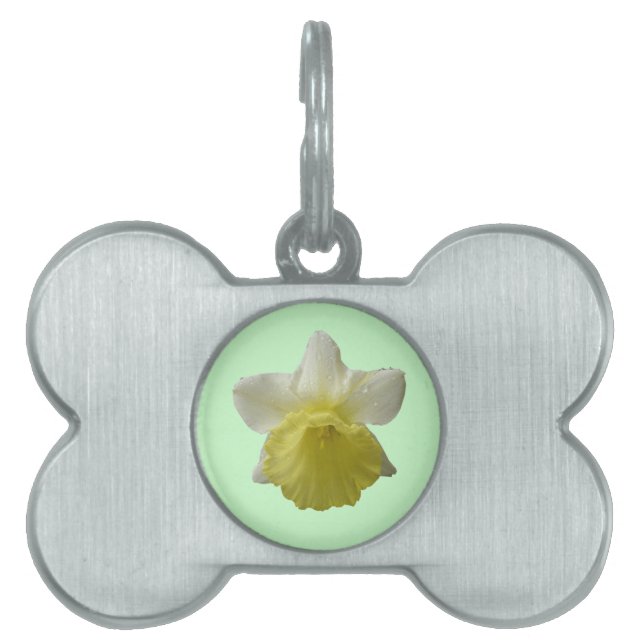 Dripping Daffodil Pet Tag (Front)