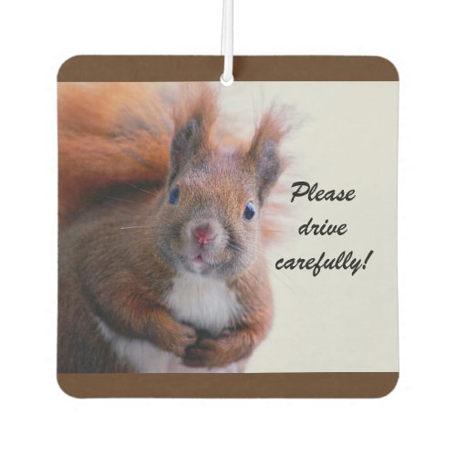 Drive Carefully Squirrel Air Freshener