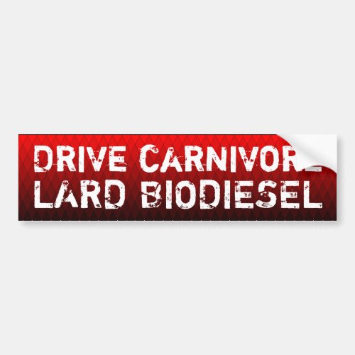 Drive carnivore lard biodiesel bumper sticker