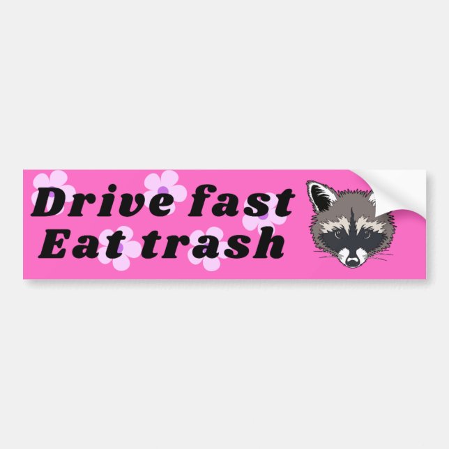 Drive fast eat trash raccoon decal bumper sticker (Front)