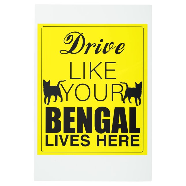 Drive Like Your Bengal Lives Here Metal Print (Front)