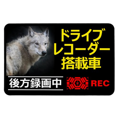 DRIVE RECORDER Warning PlateWOLF Magnet