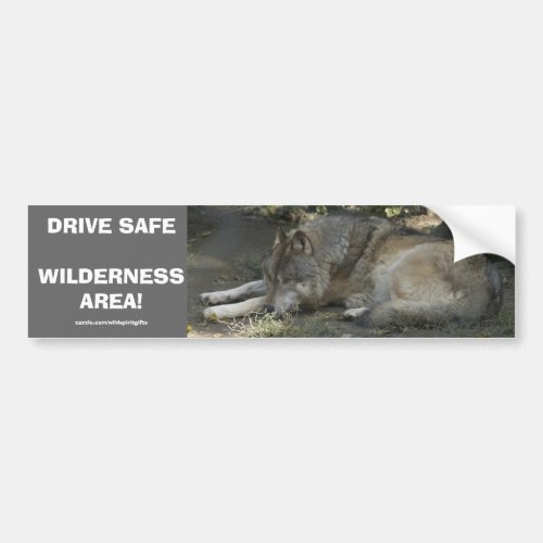 DRIVE SAFE WILDLIFE GREY WOLF Bumper Sticker