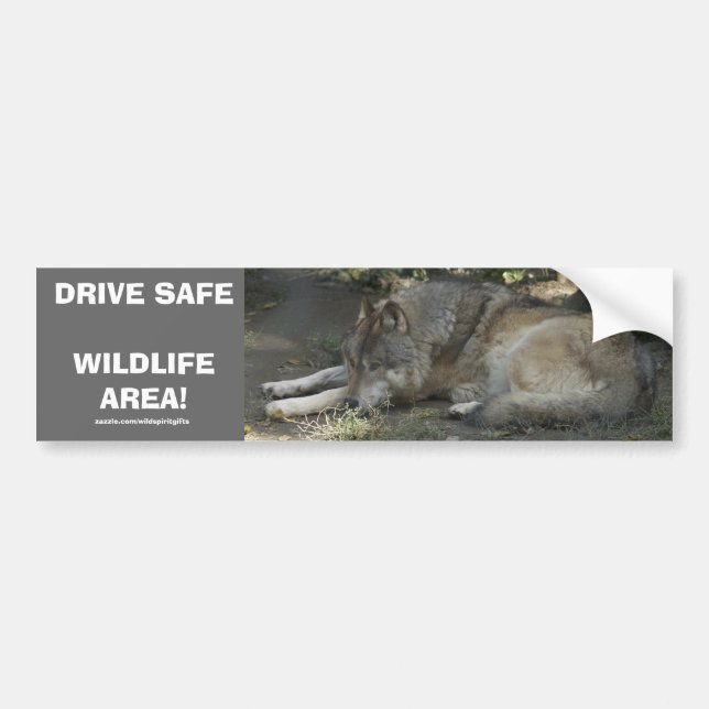 DRIVE SAFE WILDLIFE GREY WOLF Bumper Sticker (Front)