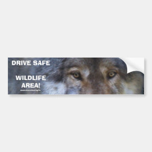 DRIVE SAFE WILDLIFE GREY WOLF Bumper Sticker