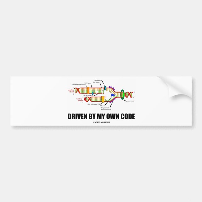 Driven By My Own Code (DNA Replication) Bumper Sticker (Front)