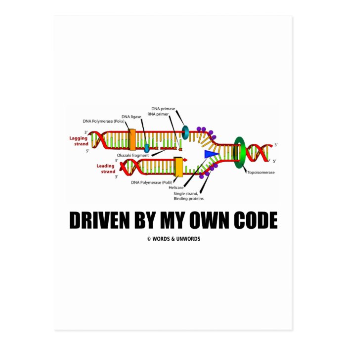 Driven By My Own Code (DNA Replication) Postcard