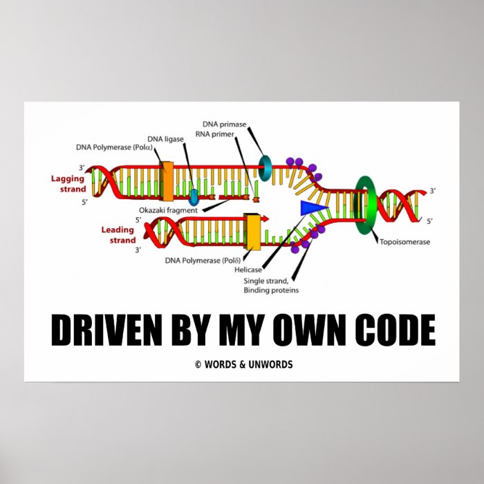 Driven By My Own Code (DNA Replication) Posters
