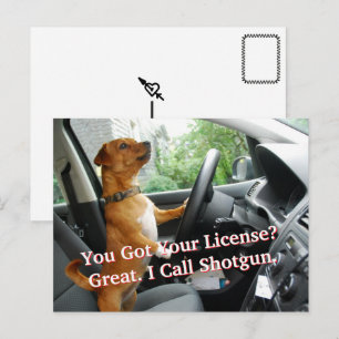 Driver’s License Congratulations Postcard