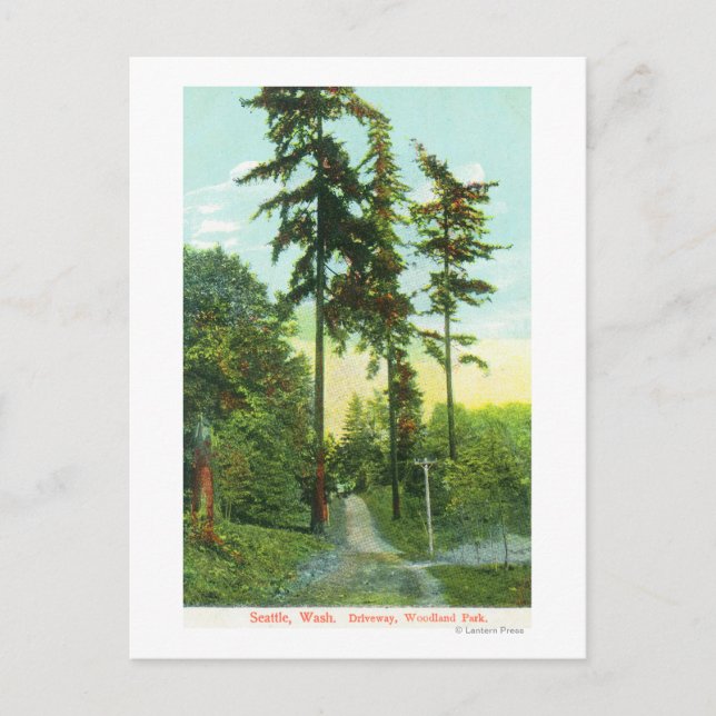 Driveway View at Woodland Park Postcard (Front)