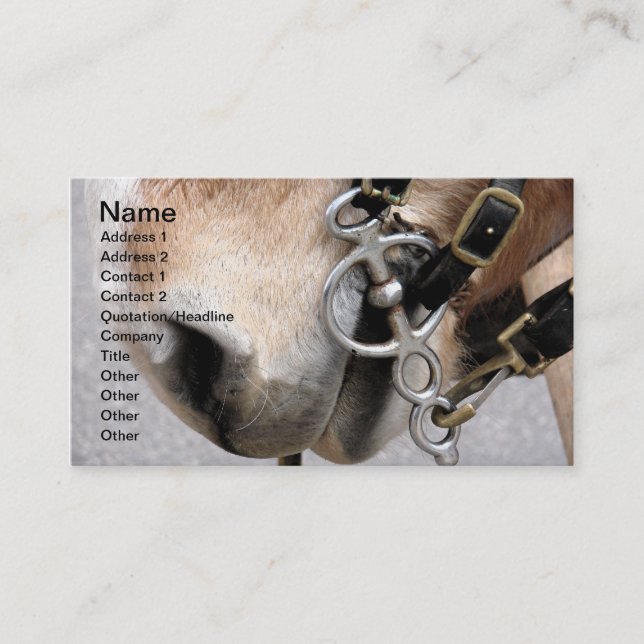 Driving Bit Business Card (Front)