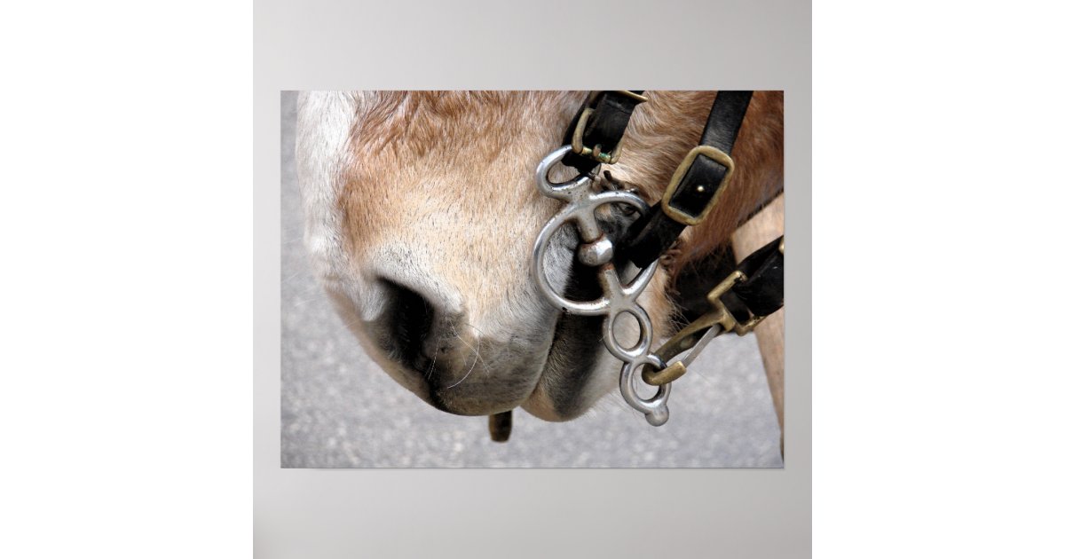 Driving Bit Poster | Zazzle