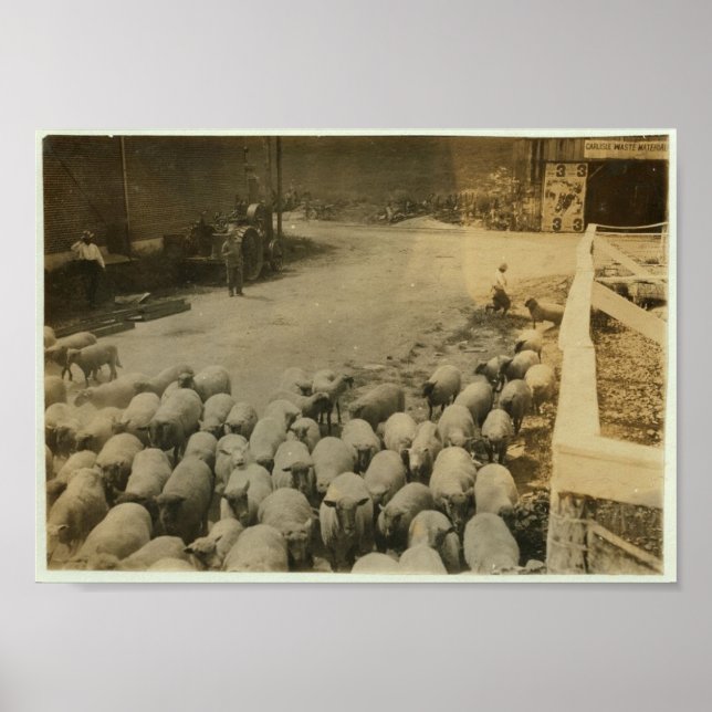 "Driving boy" driving sheep into the sheep pens Poster (Front)