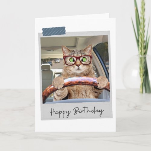 Driving Cat Funny Birthday Card